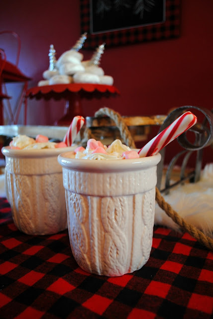 hot-chocolate-plaid-winter-party 