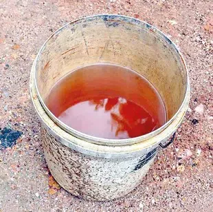 Red rain captured in a bucket in Sri Lanka.