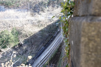 DSC 0138