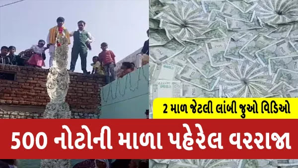 Video of groom wearing a garland of Rs 500 notes went viral