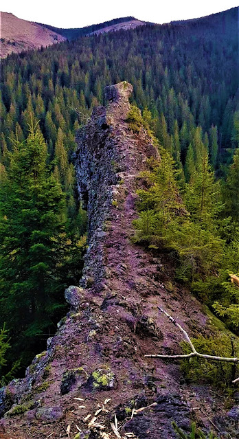 excursii-toplita-buretii-piatra-coama-calului