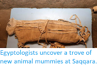 https://sciencythoughts.blogspot.com/2019/11/eygyptologists-uncover-trove-of-new.html