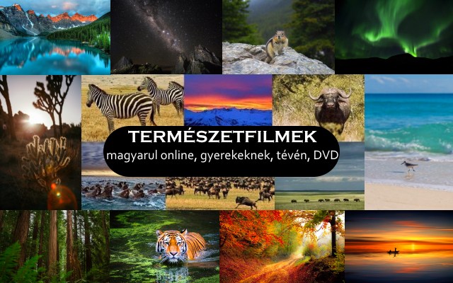 Természetfilmek magyarul online, gyerekeknek, tévén, DVD