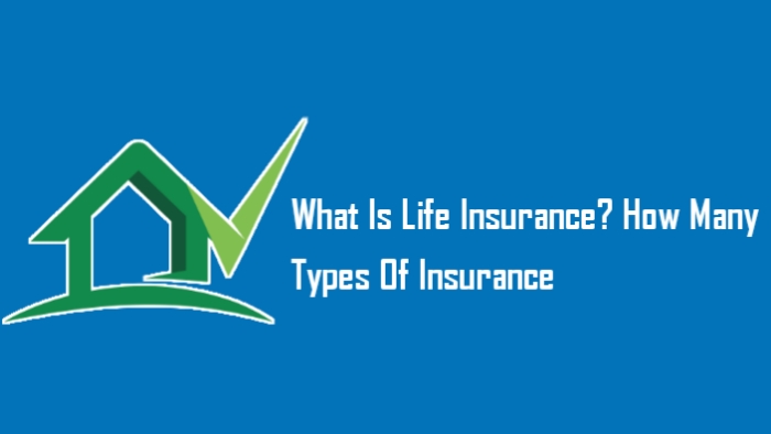 What is life insurance? How many types of insurance, Life insurance, Health insurance, General insurance, travel insurance, fire insurance, motor insurance, building insurance, accidental insurance, Life insurance, Health insurance, Accidental insurance, General insurance, Travel insurance, Fire insurance, Property insurance, Building insurance
