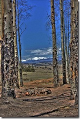 Tarryall Campsite