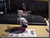 DSC02425