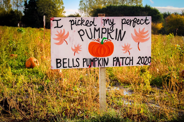 Bell's Pumpkin Patch
