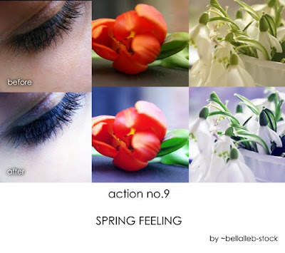 Spring Feeling Photoshop Action No.9