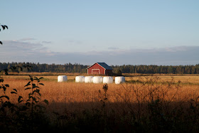 pohjanmaa