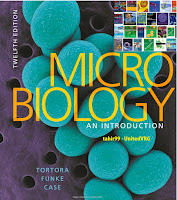 MICROBIOLOGY AN INTRODUCTION - TORTORA FUNKE XASE - TWELFTH EDITION