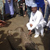 PHOTOS: Snake That Swallowed A Goat In Abuja