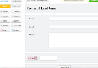 Tampilan default contatc form