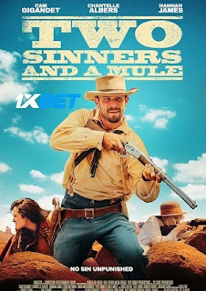 Two Sinners and a Mule 2023 Hindi Dubbed (Voice Over) WEBRip 720p HD Hindi-Subs Online Stream