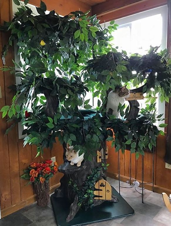 Ultimate Cat Trees