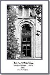 Copy of ARCHED WINDOW 2003