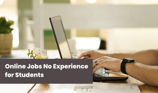 Online Jobs No Experience for Students