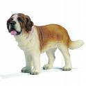 education chien : le saint bernard