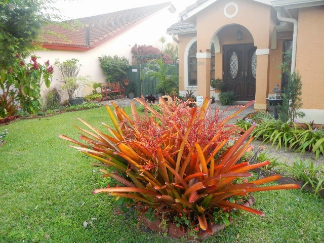 Foto Desain Taman Depan Rumah Foto Desain Taman Depan Rumah