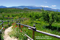 Yacimiento de la Oruña Moncayo