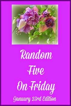 #randomfive January 24th Edition with review product preview at Circling Through This Life