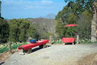 水仙郷の赤いベンチと傘