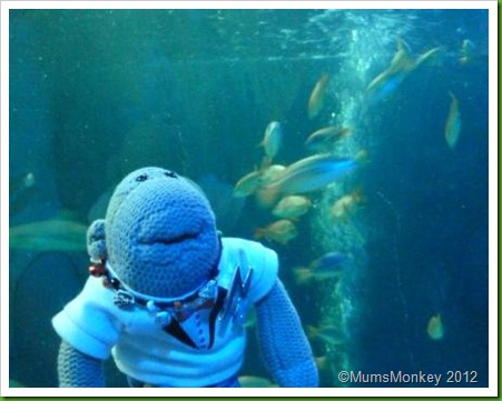 awe and wonder