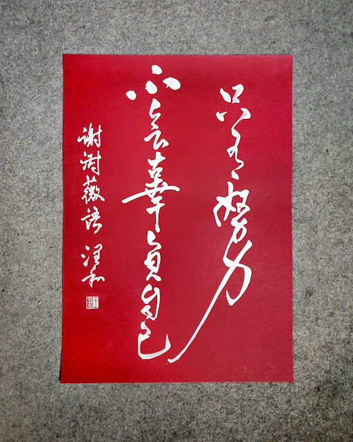 《 只有努力不會辜負自己。》 #謝淑薇語錄 #書法 #行草 #chinesecalligraphy #semicursive