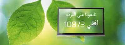  تردد قناة العراب Al Arrab على النيل سات Nilesat  التسويق الالكتروني