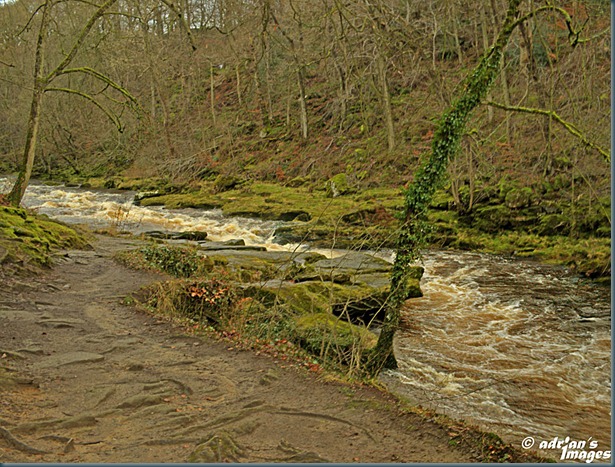 _C260387_88_89_90_91_tonemapped_edited-1