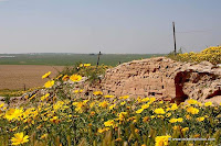  El Parque Nacional De Eshkol, Desierto Del Néguev