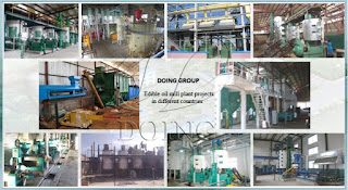 Cooking oil processing plant