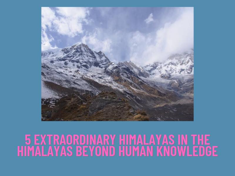 https://md-newslive.blogspot.com-5 Extraordinary Himalayas in the Himalayas beyond human knowledge