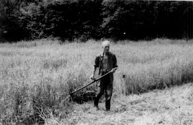 Vadföld, kaszálnak a vadaknak, 1970-es évek