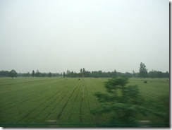 車窓からの風景①