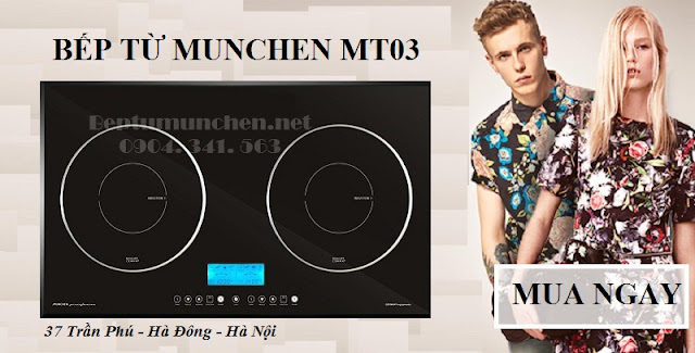 Bếp từ Munchen MT03