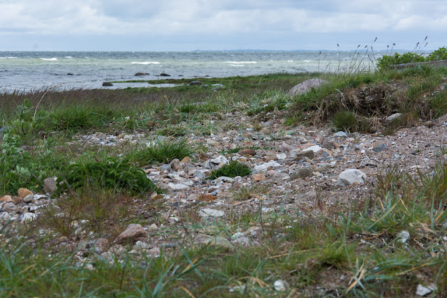 Orø beach to the North West again