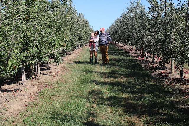 eckerts eckert's orchard farm pumpkin patch fall picking st saint louis toddler activities