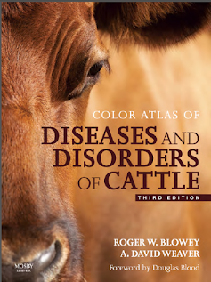 Color Atlas of Diseases and Disorders of cattle 3rd edition By Roger W Blowey