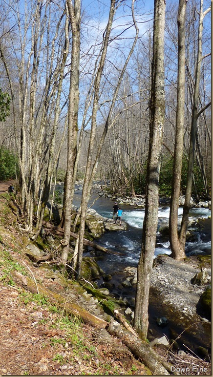 cucumber gap loop (38)