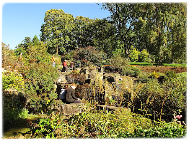 Fjellhagen  i Botanisk hage på Tøyen i Bydel Gamle Oslo