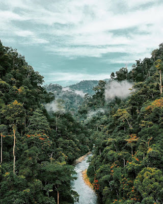 bukit lawang trekking