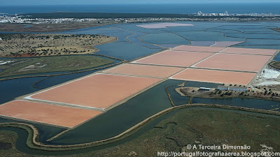 Reserva Natural do Sapal de Castro Marim e Vila Real de Santo António