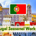 How to Apply for a Seasonal Work Visa in Portugal