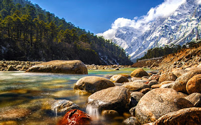 Yumthang Valley Package Tour