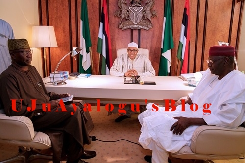 President Buhari Meets His New SGF, Boss Mustapha Inside Aso Rock in Abuja (Photos)