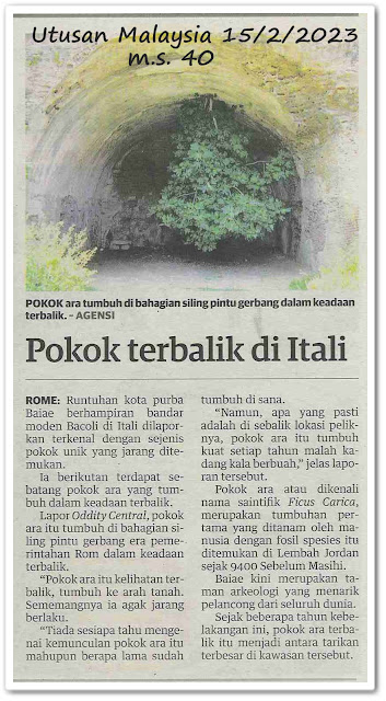 Pokok terbalik di Itali - Keratan akhbar Utusan Malaysia 15 Februari 2023