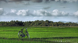 indahnya cilacapku