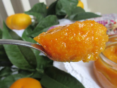 Džem od mandarina / Mandarin jam