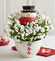 arreglo_floral_navideño_nieve