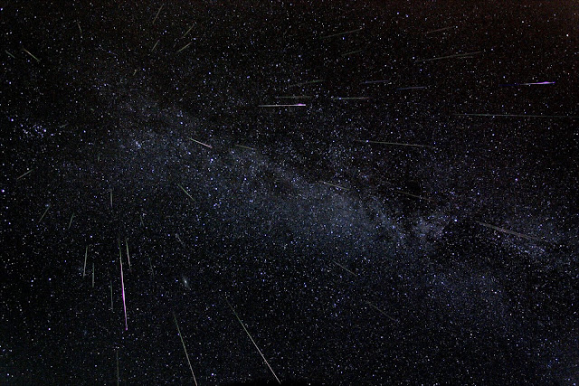 Perseids